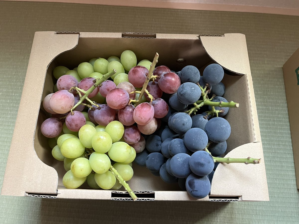 ぶどう詰め合わせ
