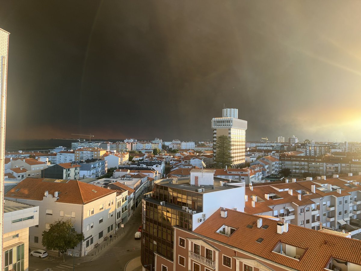 Maria João Carvalho tweet media