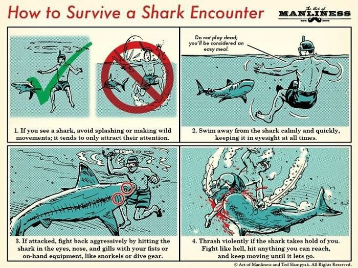 The Real Survival tweet media