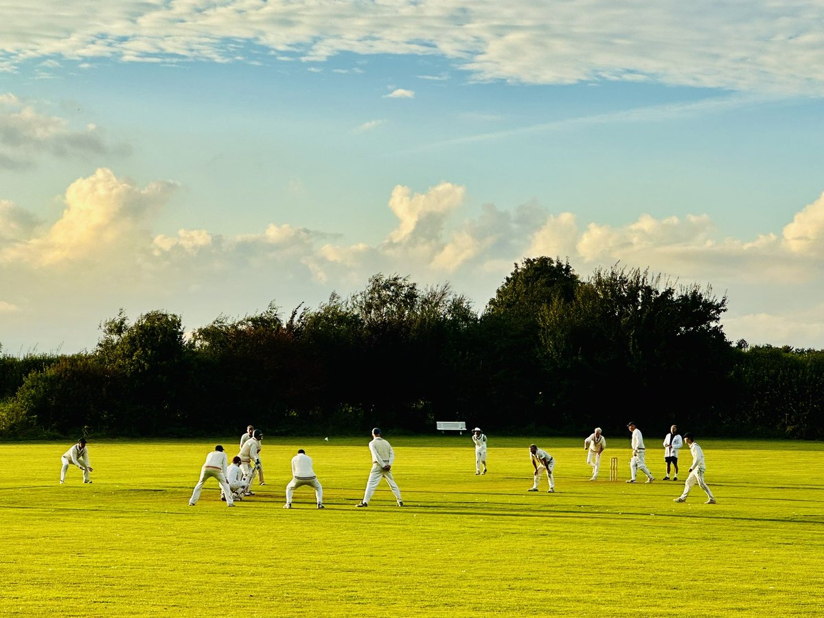 AnnieChave's tweet photo. Harberton CC v @Erraticscc
#cricketskies
#cricketdogs 🥰 https://t.co/ew15emXLHe
