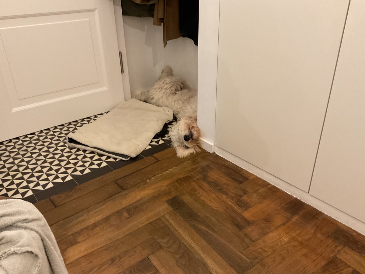 marcoow's tweet image. I&apos;m very happy with how #emberfest turned out this year 🎉

We had a bunch of great speakers as usual, a great venue and host city and in particular, what feels like a very positive energy among the attendees and #emberjs community overall. It was awesome to see a bunch of new…