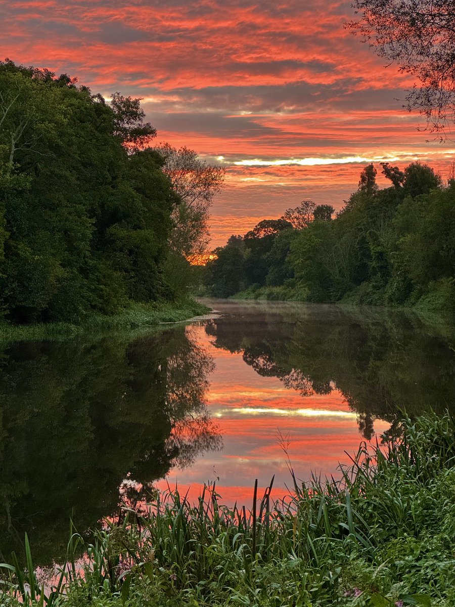 Kevin Nolan (@nolankucd) on Twitter photo Dublin this morning by bike <a href="/IrishTimes/">The Irish Times</a> <a href="/IBIKEDublin/">I BIKE Dublin</a> <a href="/ucddublin/">University College Dublin</a> Dublin this morning by bike <a href="/IrishTimes/">The Irish Times</a> <a href="/IBIKEDublin/">I BIKE Dublin</a> <a href="/ucddublin/">University College Dublin</a>