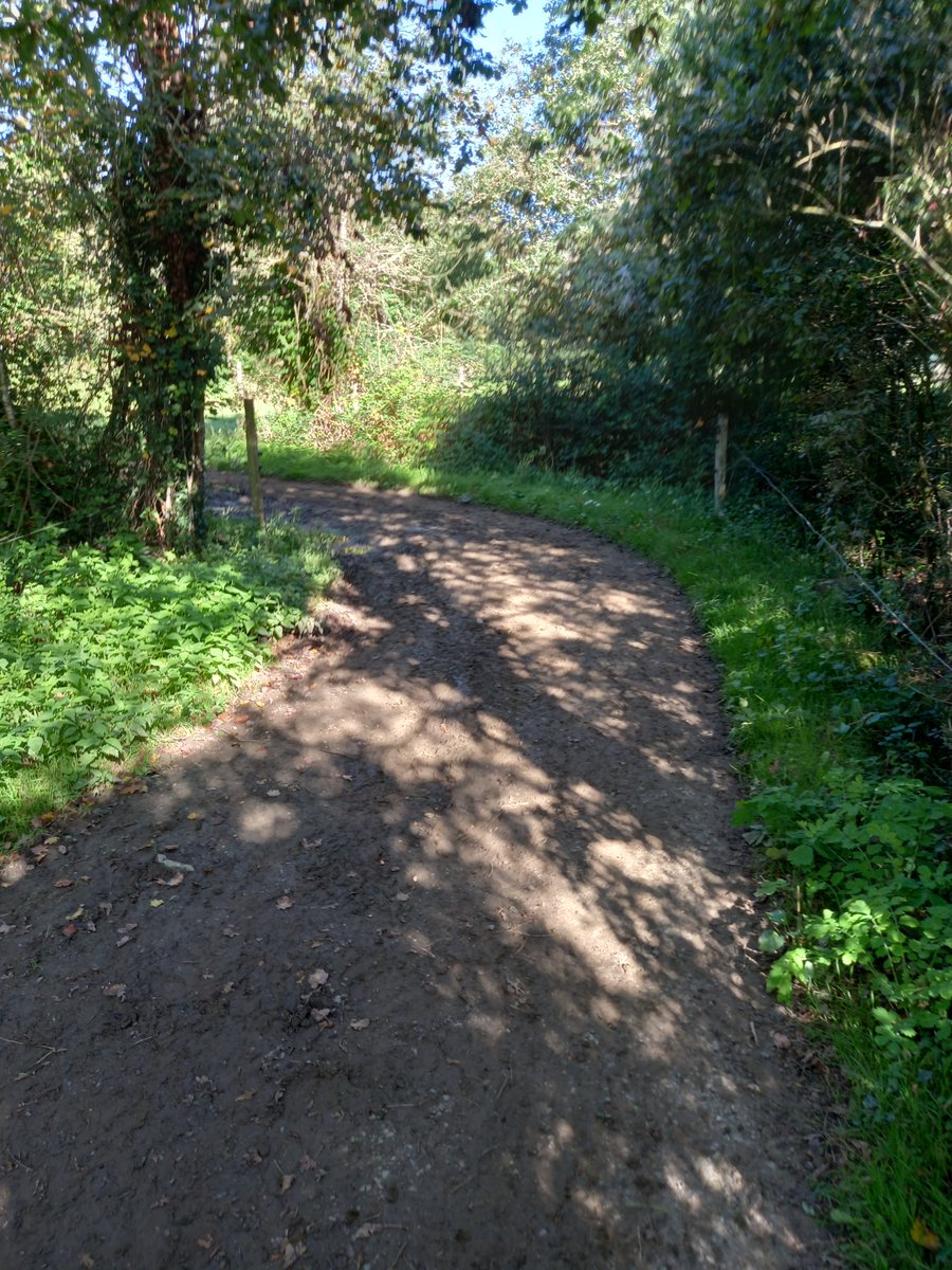 Avec les conditions climatiques 2024, les chemins d'accès au pâturage ont été mis à mal.
Sable, béton, ciment, caillebotis ...Un groupe d'éleveurs en Loire-Atlantique visite 4 fermes à la recherche du matériau idéal pour plus de stabilité et de longévité.
pleinchamp.com/actualite/4-ma…