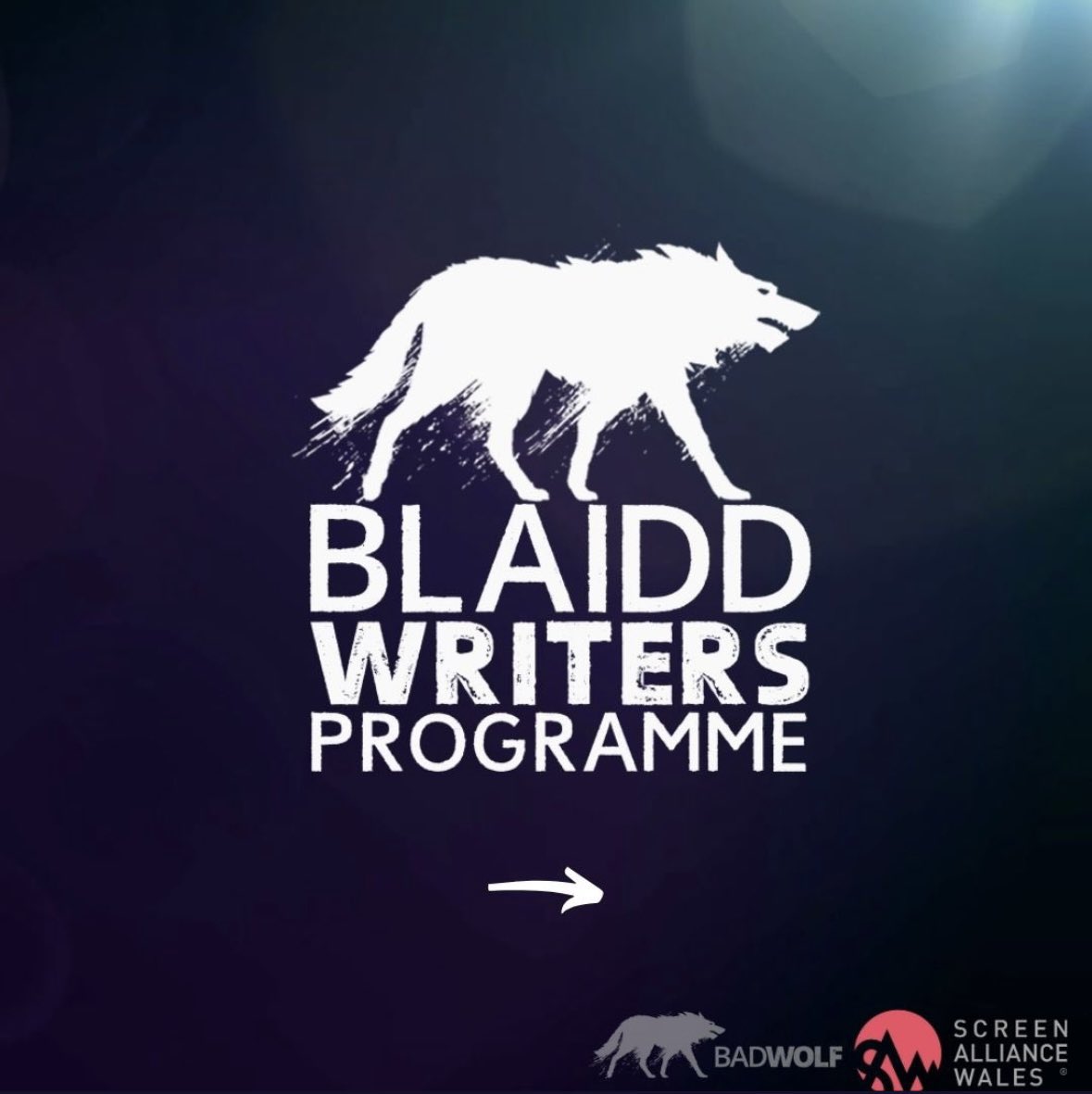 Emma Obank tweet media