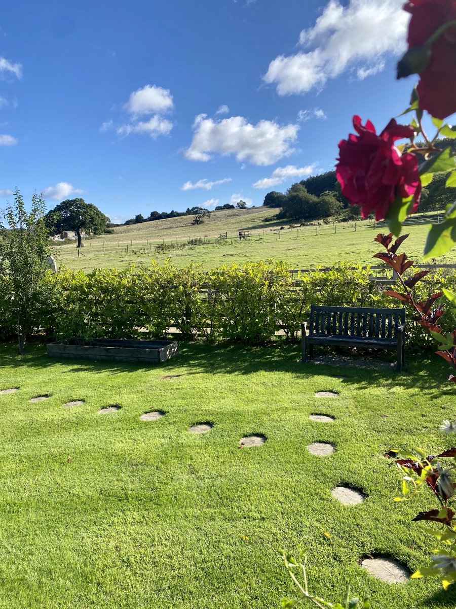 Wishing you a happy new week from my garden in North  Yorkshire 😊