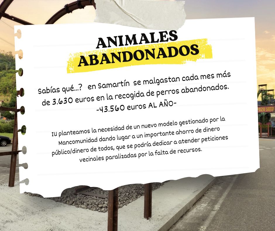 📢 Animales abandonados en Samartín: 🐶

Cada mes se están malgastando más de 3.630 euros en la recogida de perros abandonados en nuestro municipio. Esto representa 43.560 euros al año, ¡una cantidad considerable! Abrimos 🧵👇🏻