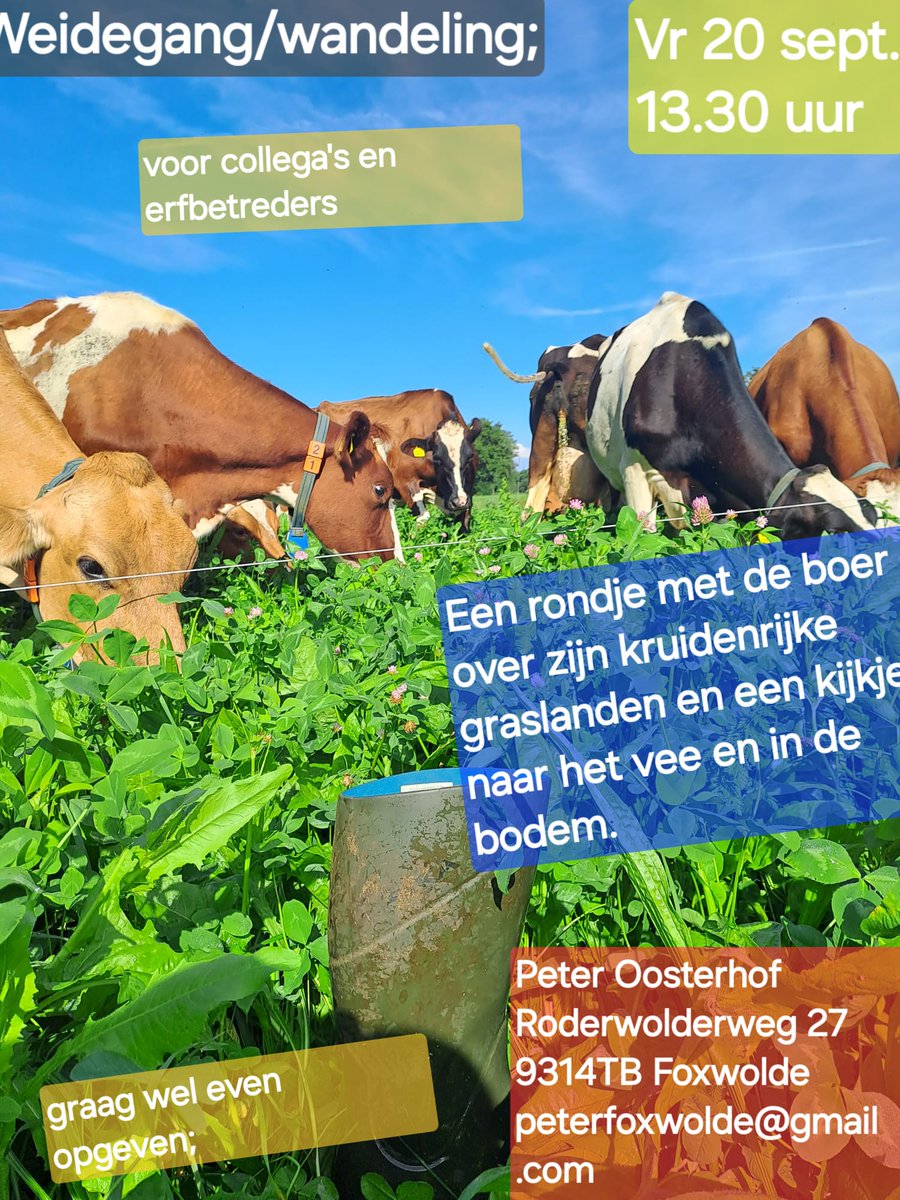 Peter Oosterhof (@peteroosterhof2) on Twitter photo 