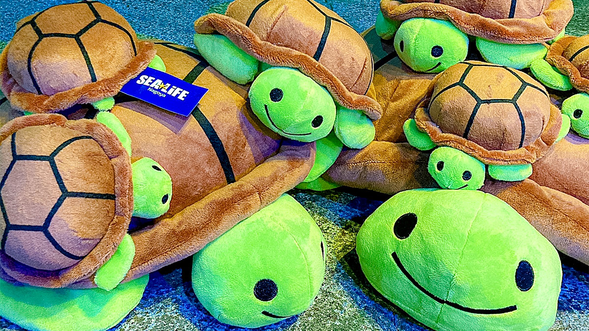 オリジナルのウミガメグッズが登場✨ ＼ 必ずどれかが当たる‼くじに
