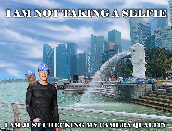 trieudo_'s tweet image. Selfie with my cat @CAPTOSAPT, who&apos;s the real star here? 😸📷✨

@AveryChing 

#captos #justfun #memefun #aptos