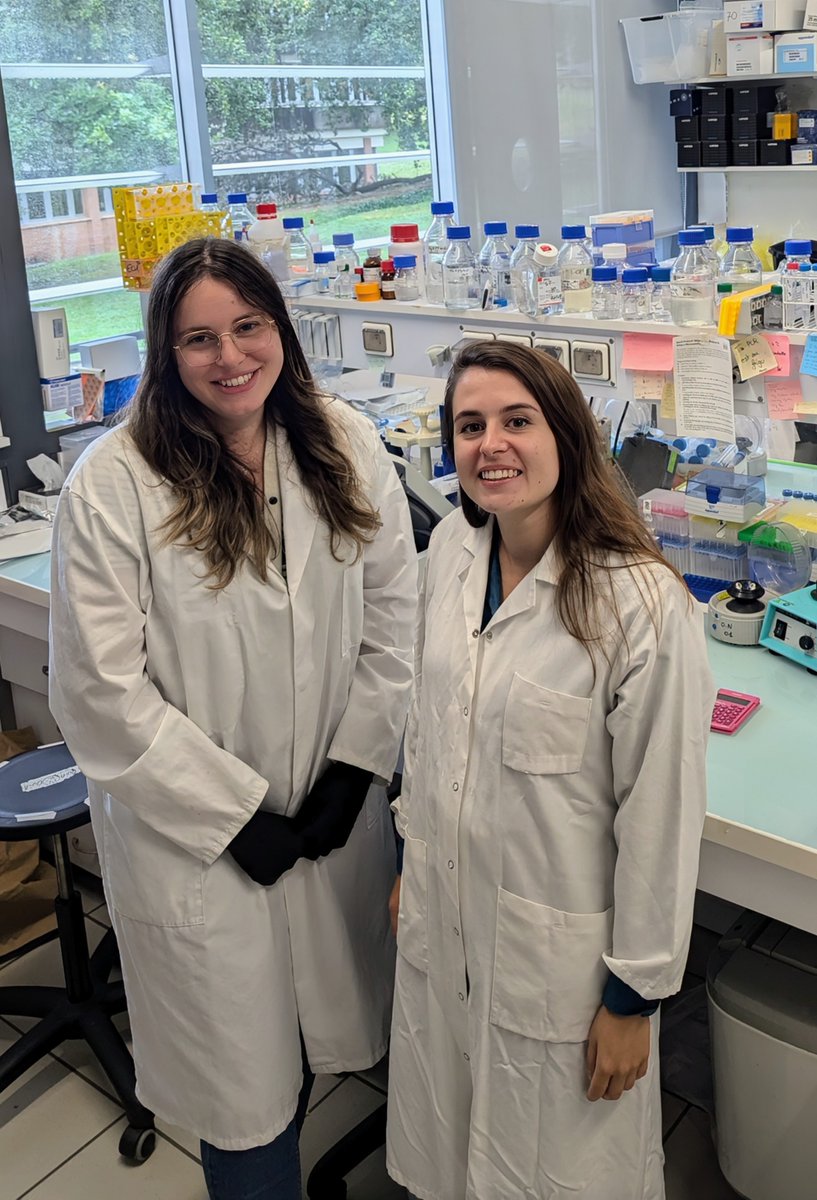 Read the interview with Sarah Monard &amp; Wendy Le Mouellic 🏆 Laureates of the Molecular Microbiology Best Talk Awards at the MycoDays 2024 Meeting ➡️ ow.ly/A4j550Tl4TP