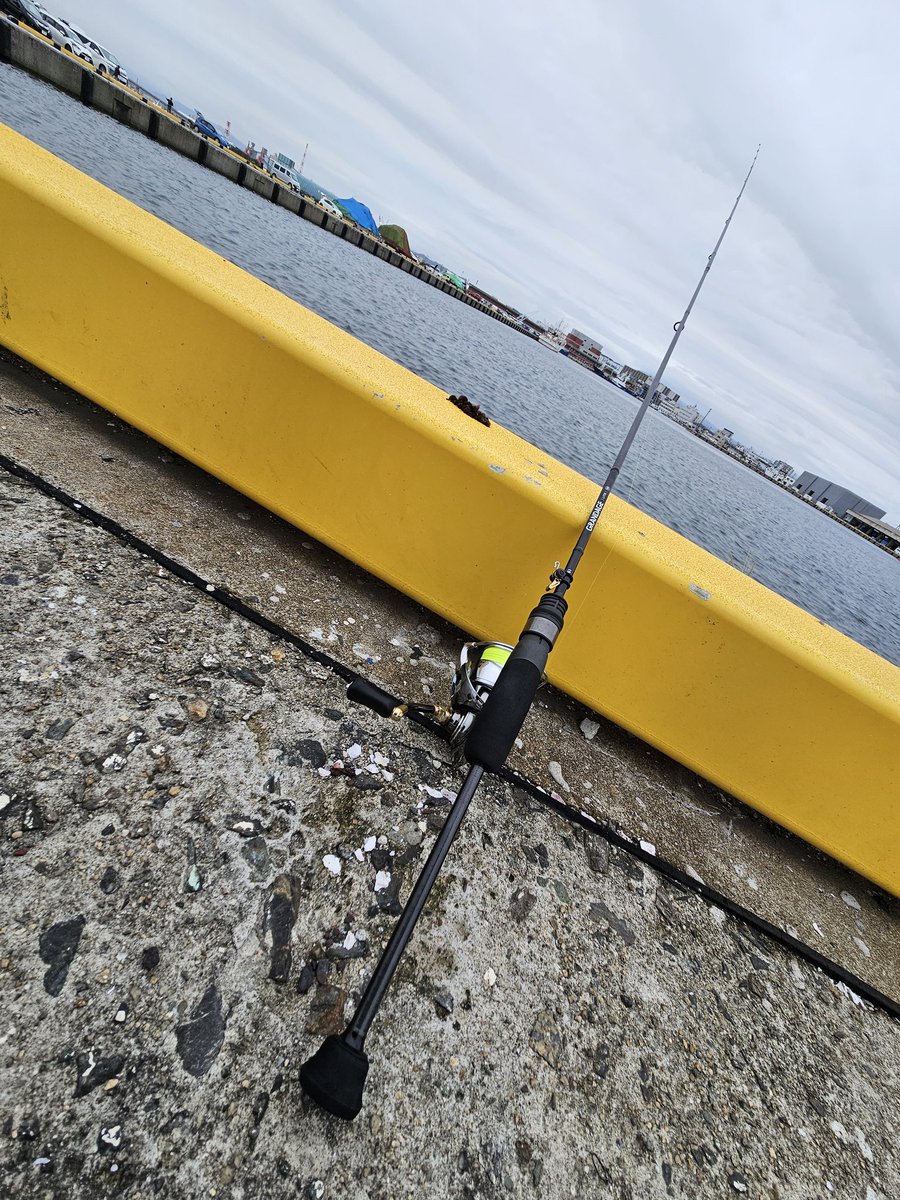 Raid_cha's tweet image. 連休最終日は、遠征アジング‼

隣でめっちゃ釣られる中，ボーズ‼

難しいけど，経験値up👆

またくる👋