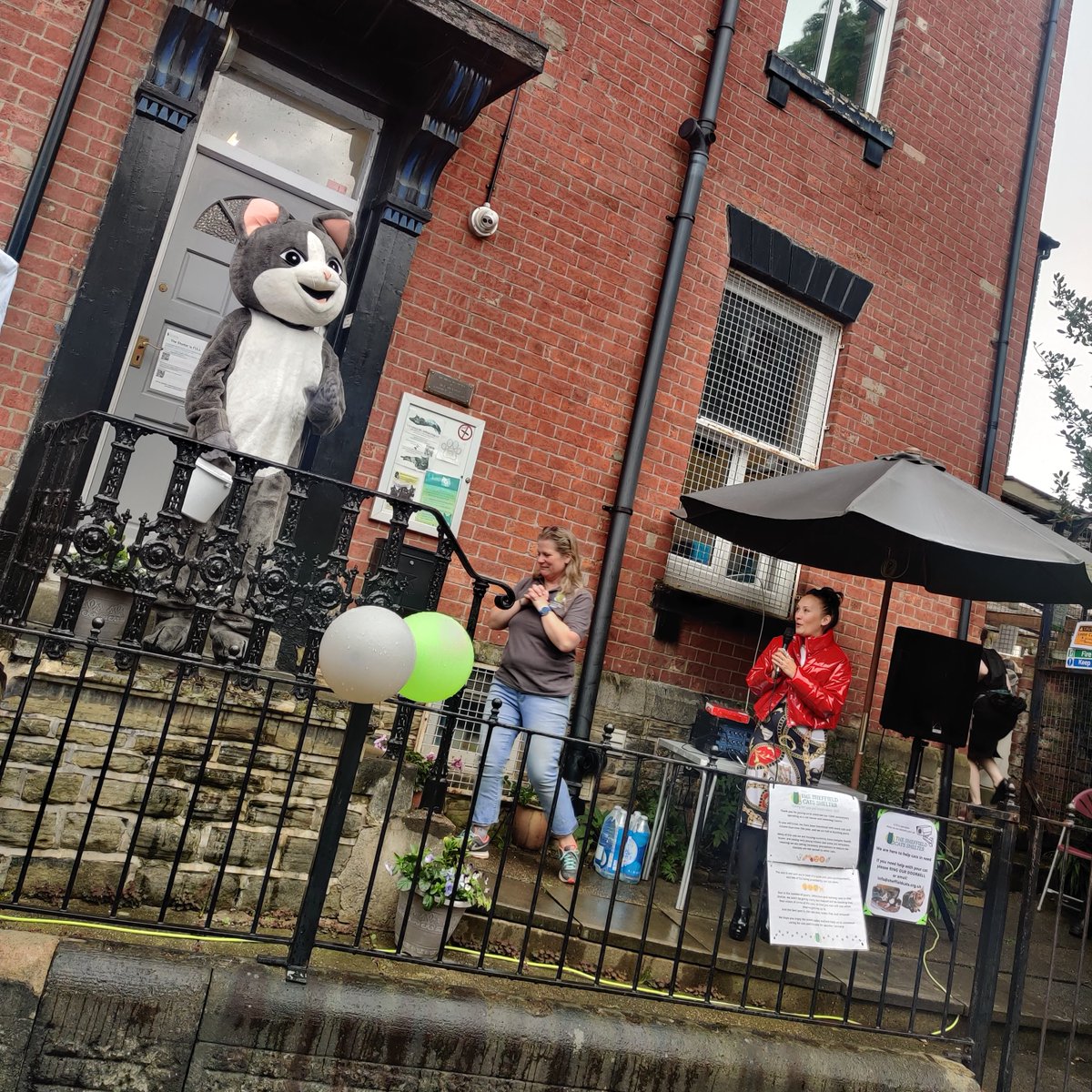 Altitudesays's tweet photo. Yesterday, we attended @CatsShelter's 60th anniversary street party at Travis Place ✨

Great to see everyone coming down to help fundraise for the charity 💛🐈 https://t.co/bi7aGtYHxn