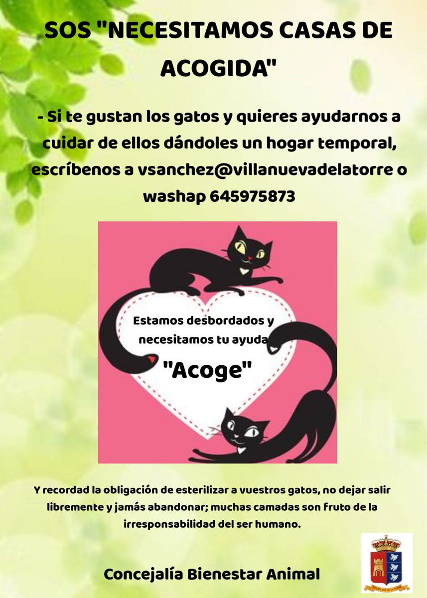 ⚠️ SE NECESITAN CASAS DE ACOGIDA PARA GATOS

🆘Se necesita hogar temporal para varios gatos 🐱

Las personas interesadas pueden contactar a través de las vías que se indican en el cartel.

Gracias 🙏

#VillanuevaDeLaTorre #CasasDeAcogidaGatos