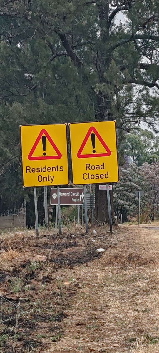 Linus Muller tweet media