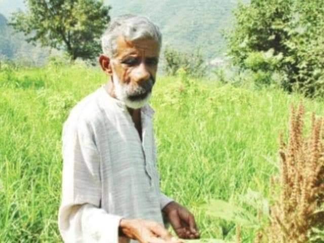 rampalsinghraw2's tweet image. पहले पेड़ बचाने के लिए जवानी खपाई, अब बीज बचाने के लिए खुद को समर्पित कर दिया। टिहरी गढ़वाल के विजय जड़धारी एक चलते फिरते संस्थान हैं।
पारंपरिक फसलों को लेकर उनका ज्ञान, बीजों के संरक्षण को लेकर वैज्ञानिक दृष्टिकोण रोचक है।
लेकिन दुर्भाग्य है कि हमने 24 साल में जड़धारी जी जैसे