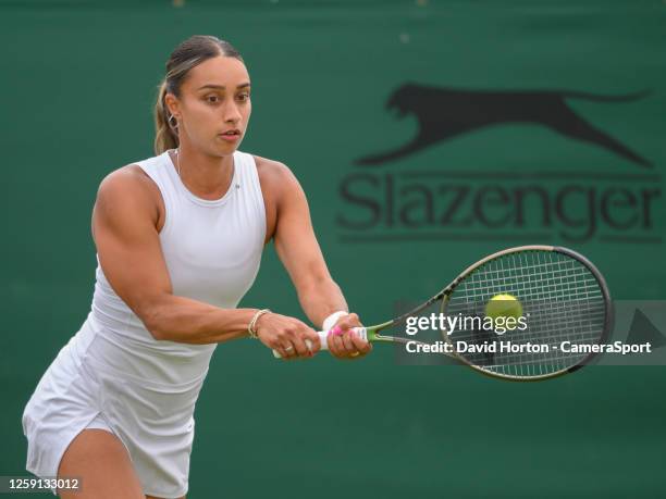 Chris Goldsmith tweet media