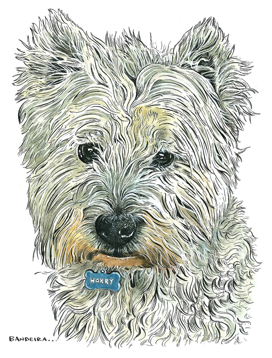 Graeme Bandeira tweet media