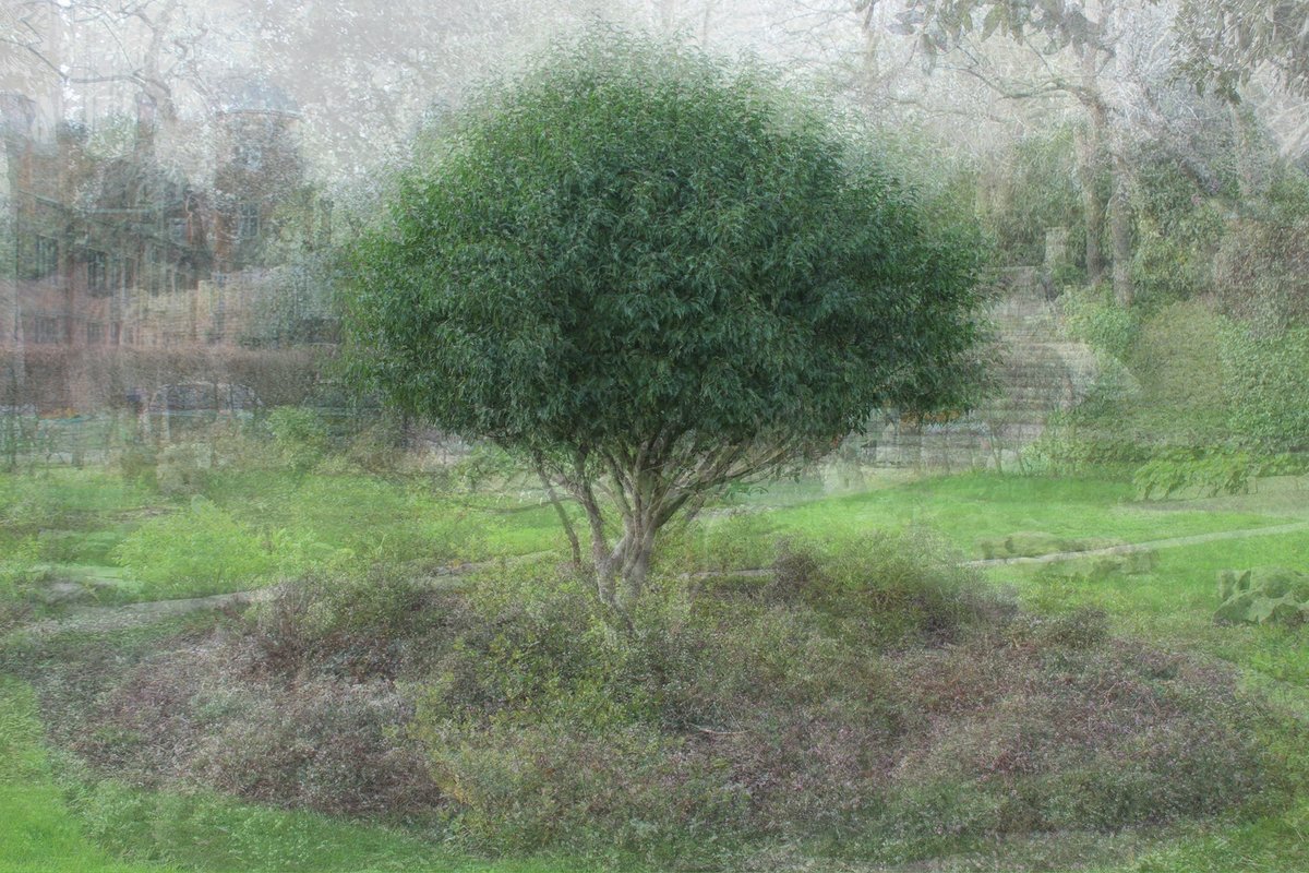Congratulations to Cobham Hall Elder Daisy (Class of 2024), whose photographic work ‘Layers of time’ has been selected to move through to the next round of judging in the GSA Go Bold photography competition. 

Daisy's photograph is inspired by the changing of time.

Good luck!