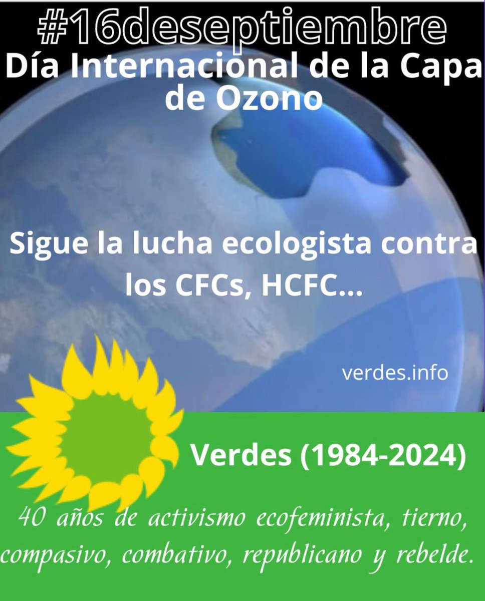 LOS VERDES CANARIAS (@verdescanarias1) on Twitter photo 