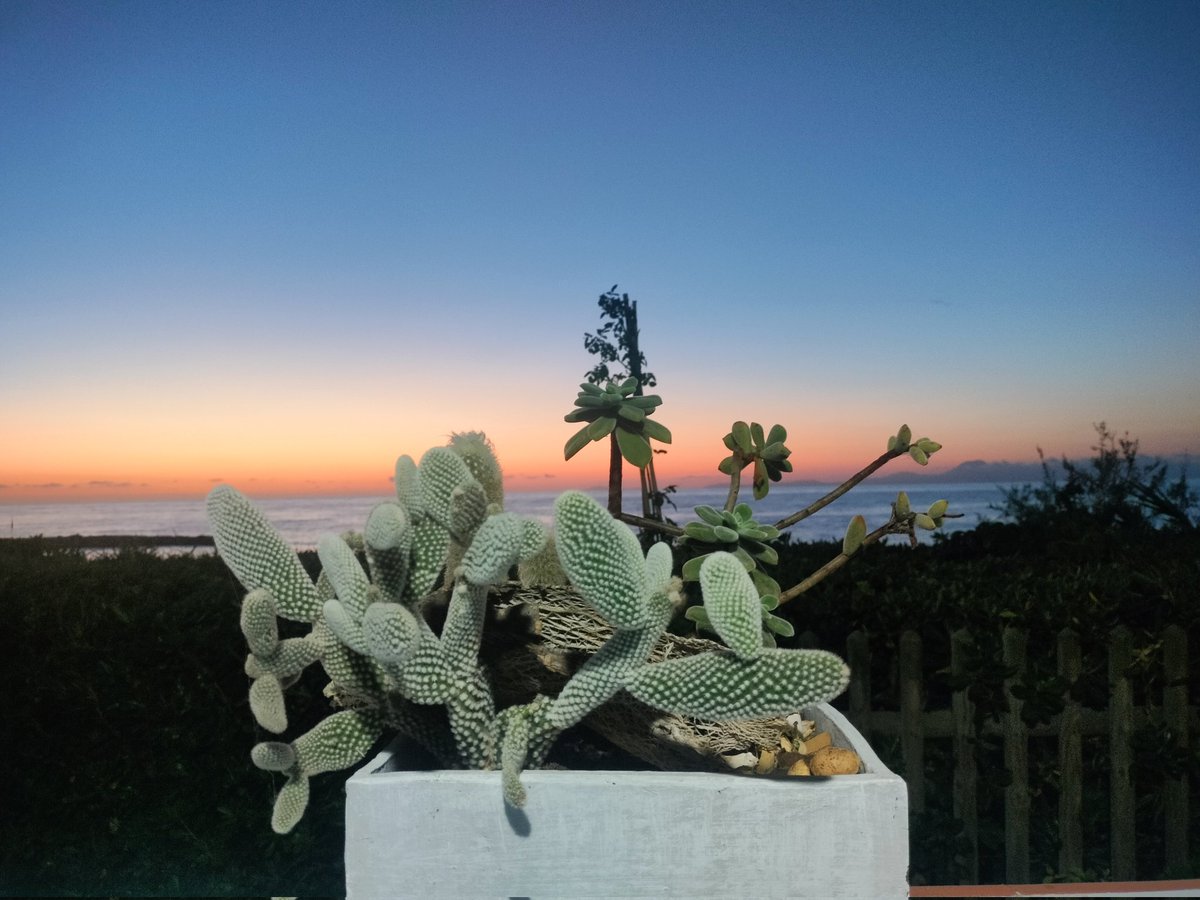 #puntalicosa @villaleucosia