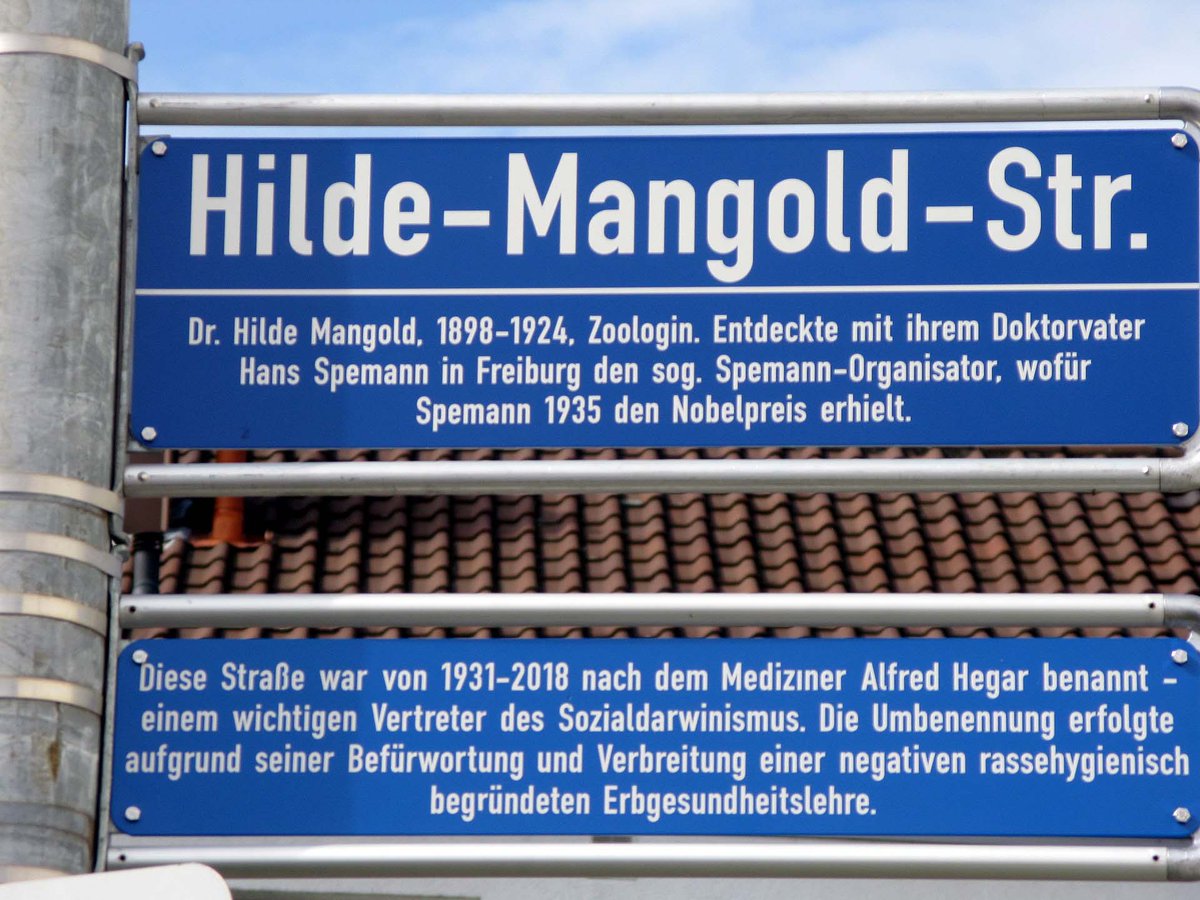 mayor_lab's tweet photo. In Freiburg, we’re celebrating 100 years since Hilde Mangold (Pröscholdt) and Hans Spemann's groundbreaking discovery of the Organizer! #spemannmangold2024 https://t.co/AcgQfWSH7P