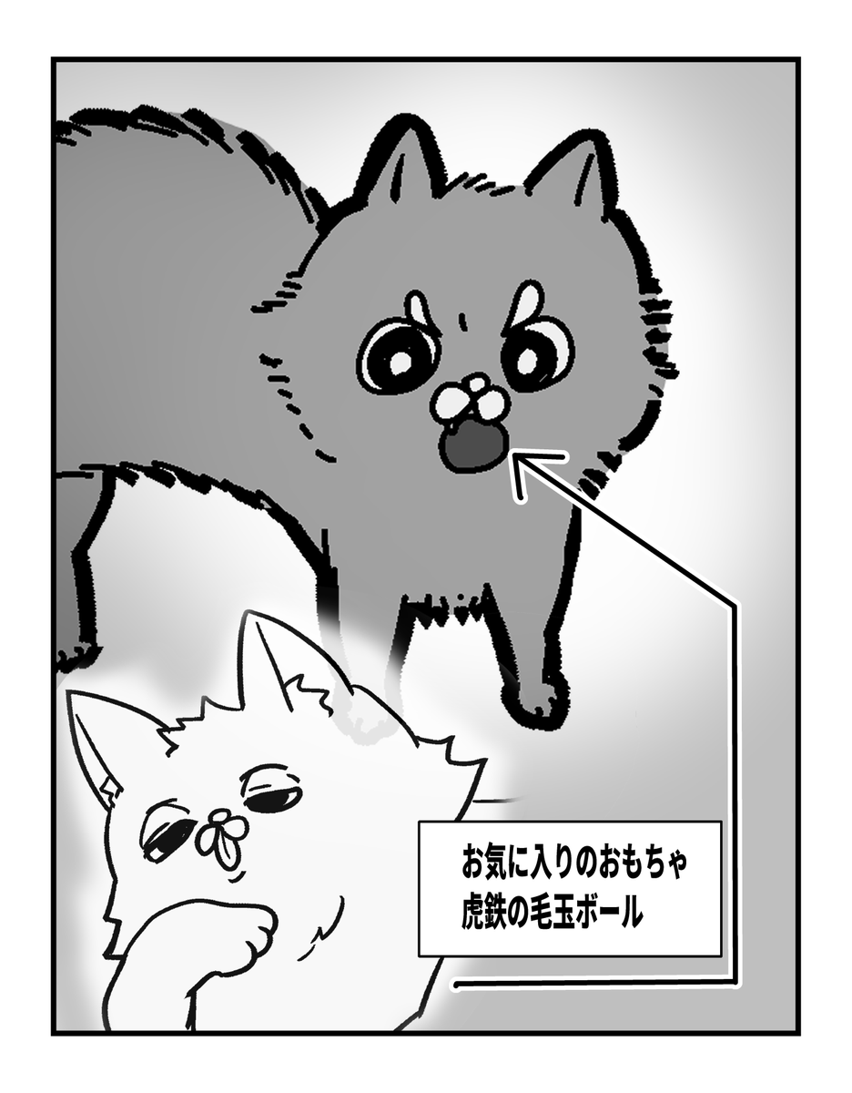やんのかポーズで毛玉守ってた