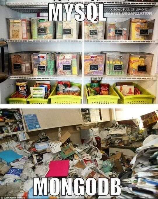 NikhilCode's tweet image. 