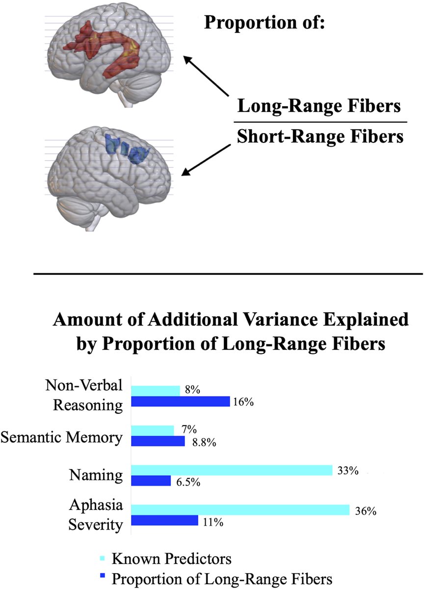 @BrainComms tweet media