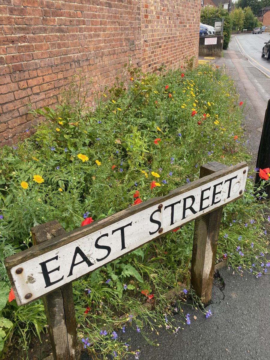 Chesham in Bloom (@cheshaminbloom) on Twitter photo The new flowerbed created by <a href="/BucksCouncil/">Buckinghamshire Council</a> in East Street is looking vibrant with its late summer flowers. #gardening #flowers #chesham The new flowerbed created by <a href="/BucksCouncil/">Buckinghamshire Council</a> in East Street is looking vibrant with its late summer flowers. #gardening #flowers #chesham