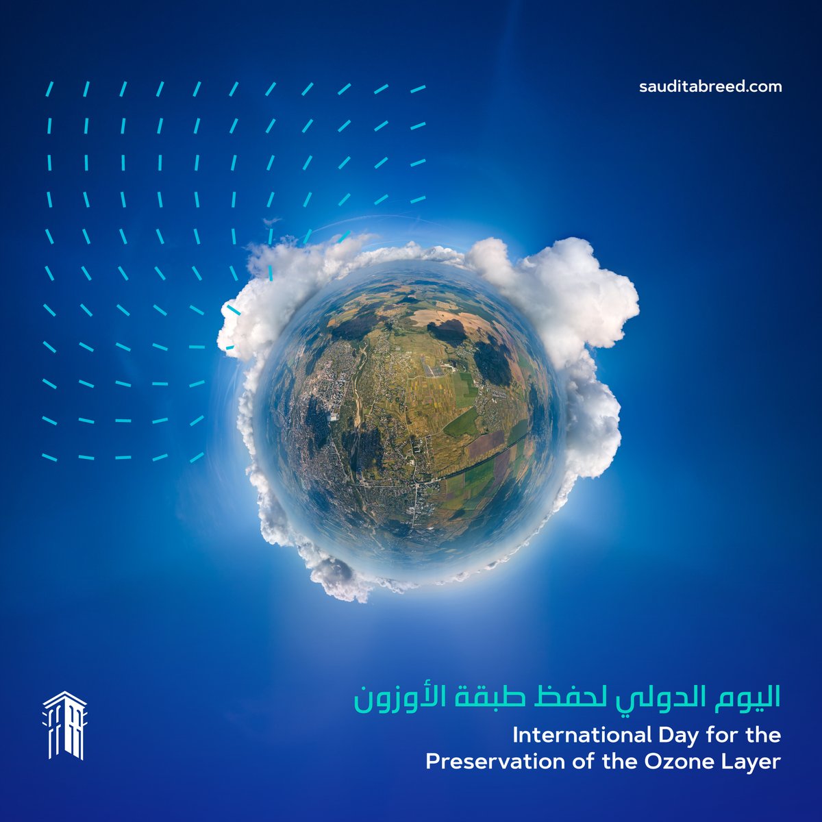 Saudi Tabreed tweet media