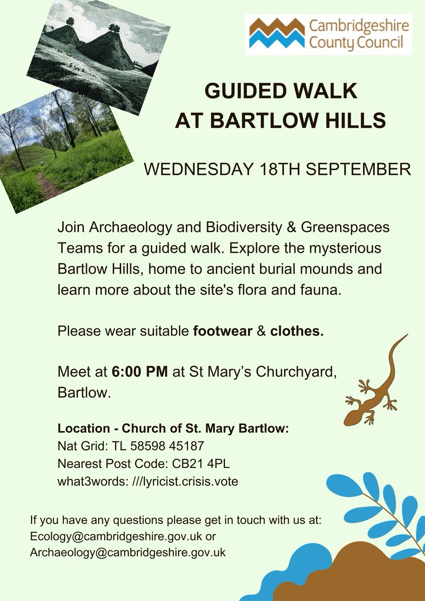Want to know more about those little hills at Bartlow? @Cambscc historic environment and biodiversity teams are doing a guided walk on this wednesday! #thisisarchaeology #prayforsunshine
