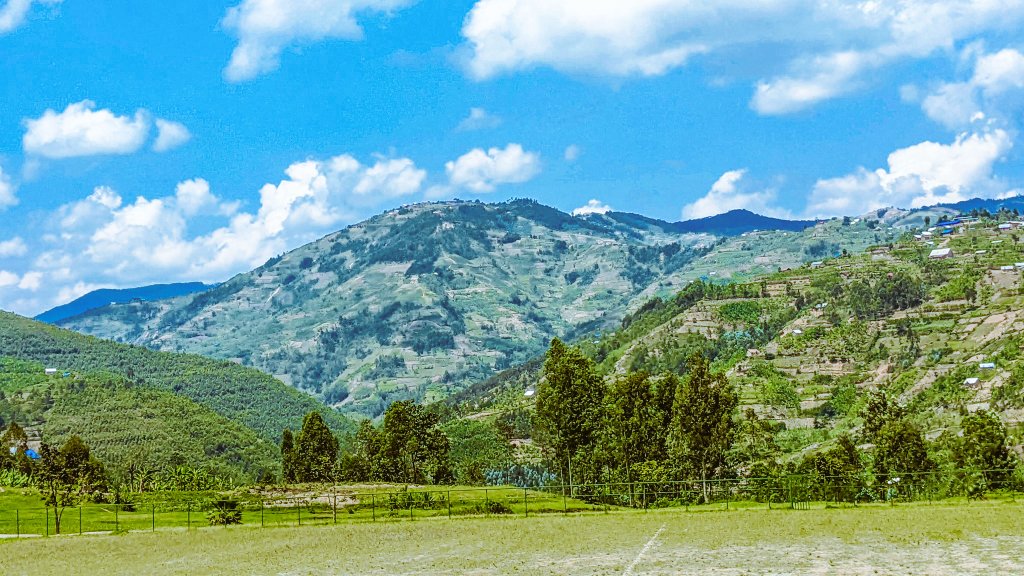 JustinNsengima's tweet photo. 🏔️🗻DidYouKnow?🏔️
Aha ni #IBAYI n'#AMAGABA hamwe wumva batukana ngo urakareba ibayi n'amagaba. Mu karere ka @NgororeroDistr i #Kingogo
Wagira ngo ni mu misozi myiza yahimaraya
#VisitNgororero
@visitrwanda_now https://t.co/ku8SJc3K9x