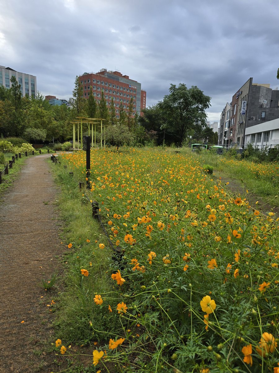 와우! 오천억 (@heunghyun) on Twitter photo 