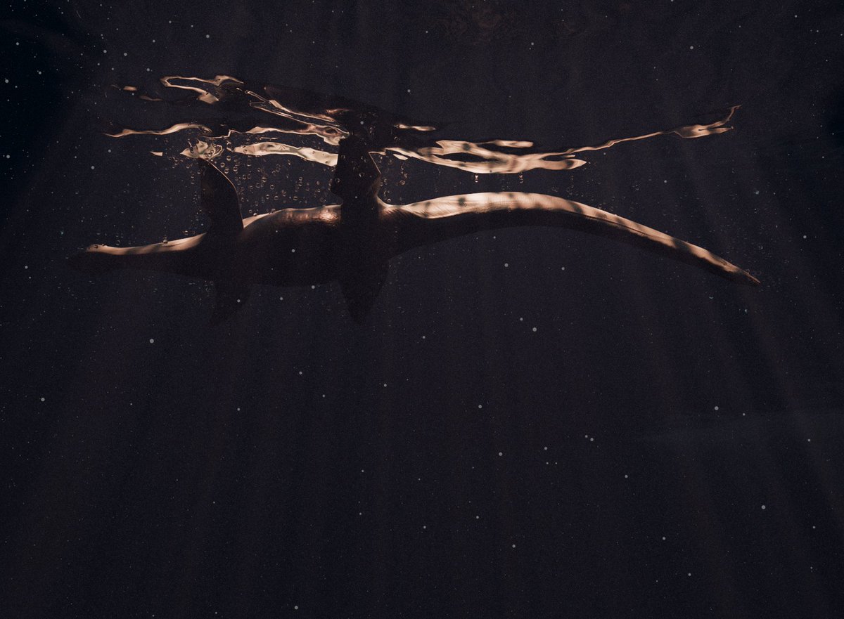 CPursall's tweet photo. The waters surface is just magic https://t.co/VVPm9QPtB9