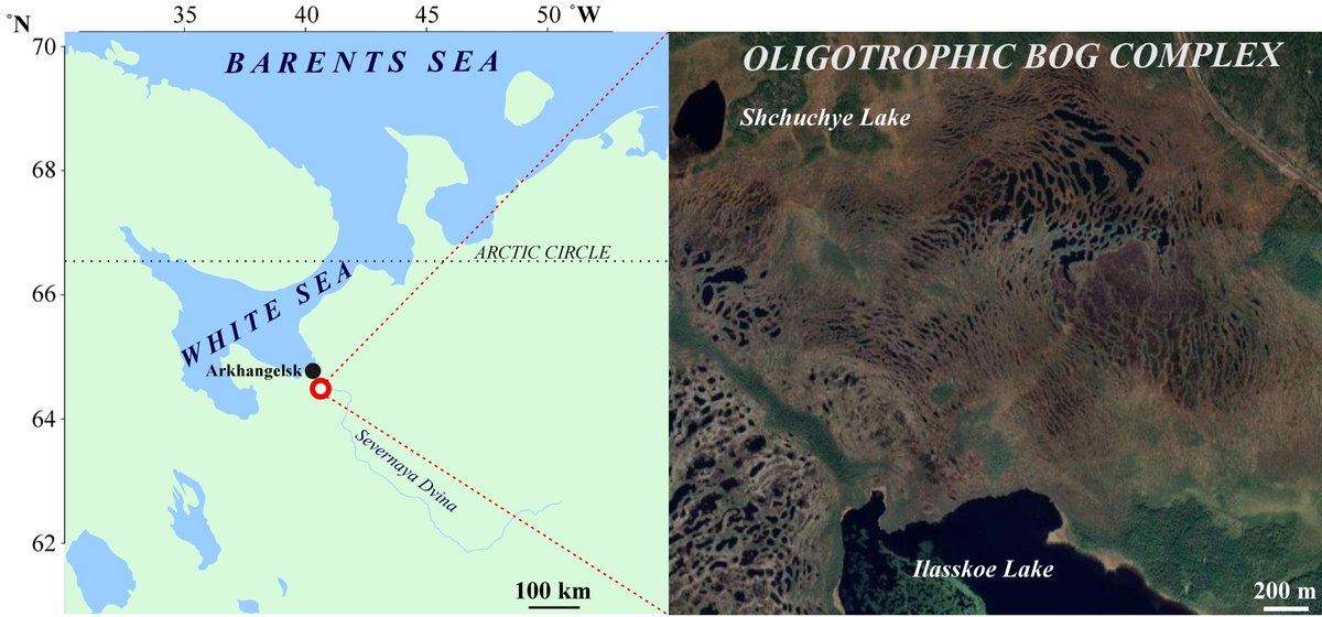BioDataJournal's tweet image. A study of the prokaryote communities of the peat deposits of the southern White Sea coastal ombrotrophic bogs in north-western Russia: doi.org/10.3897/BDJ.12…

#peats #bogs #biodiversity