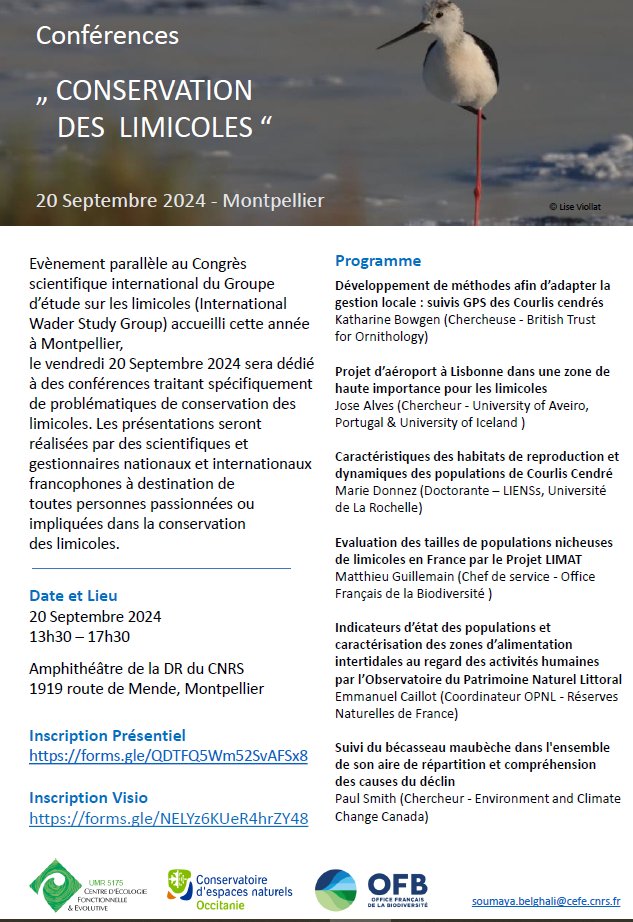 Charlotte Francesiaz (@c_francesiaz) on Twitter photo 📢RDV vendredi après-midi à Montpellier ou en visio pour un aprem de confs (en FR) sur la conservation des limicoles !🤩
Inscriptions ici pour recevoir le lien: urlz.fr/sd3m
Et c'est...GRATUIT !
<a href="/OFBiodiversite/">Office français de la biodiversité</a> @cefemontpellier <a href="/WaderStudy/">Wader Study</a> <a href="/_JoseAAlves_/">José A. Alves</a> <a href="/modelbirder/">Katharine Bowgen</a> 📢RDV vendredi après-midi à Montpellier ou en visio pour un aprem de confs (en FR) sur la conservation des limicoles !🤩
Inscriptions ici pour recevoir le lien: urlz.fr/sd3m
Et c'est...GRATUIT !
<a href="/OFBiodiversite/">Office français de la biodiversité</a> @cefemontpellier <a href="/WaderStudy/">Wader Study</a> <a href="/_JoseAAlves_/">José A. Alves</a> <a href="/modelbirder/">Katharine Bowgen</a>