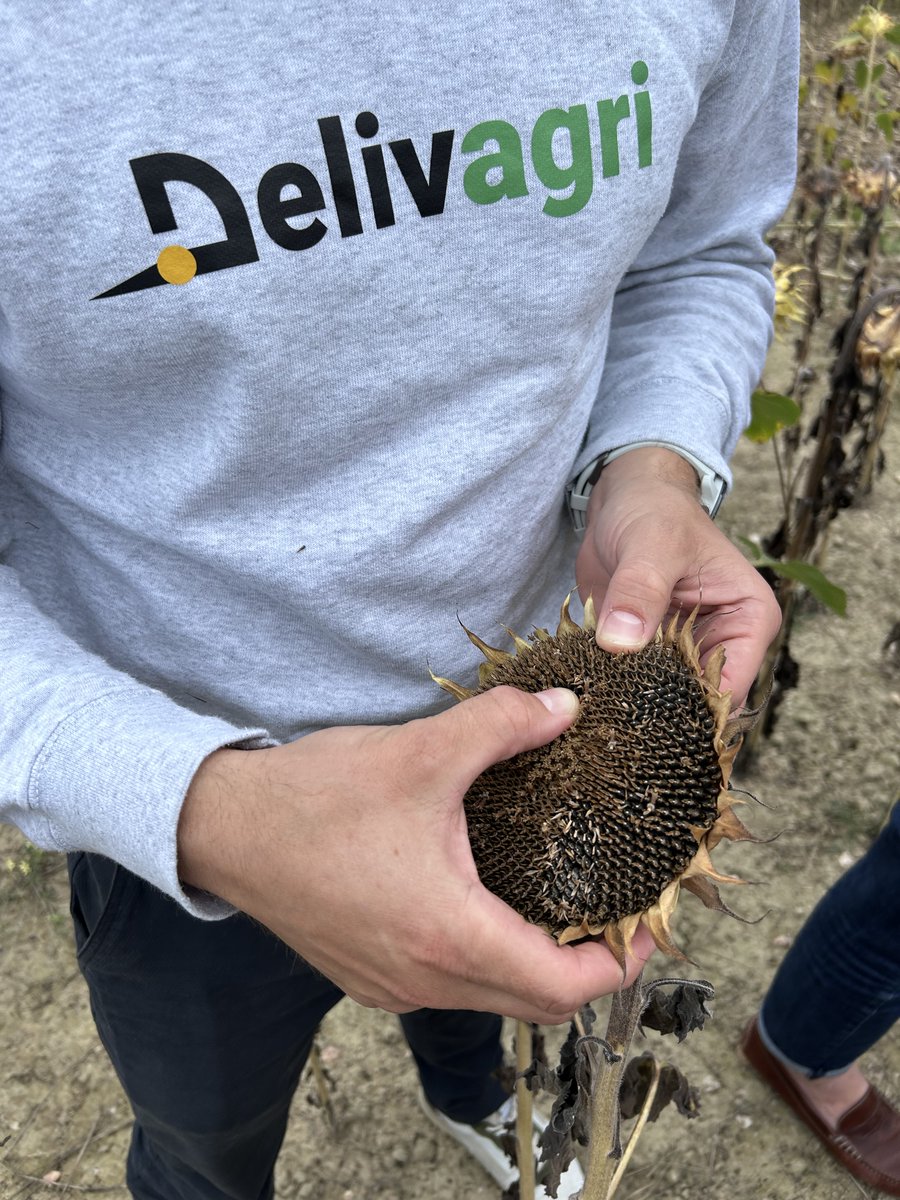 Delivagri.com tweet media