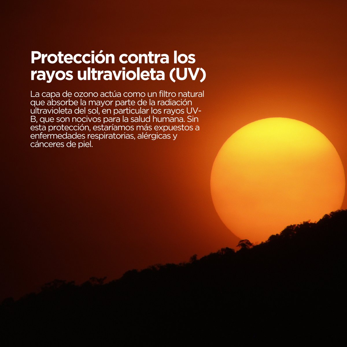 Venfilter tweet media