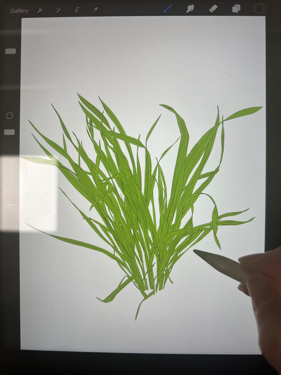 Samantha Harvie (@harviesamantha1) on Twitter photo Working on some thesis figures today and just finished drawing a wheat plant that I grew in hydroponics. Loving how the details came together to highlight the growth phase and yield potential! <a href="/UWAresearch/">UWA Research</a>
#phdlife #phenomics #art Working on some thesis figures today and just finished drawing a wheat plant that I grew in hydroponics. Loving how the details came together to highlight the growth phase and yield potential! <a href="/UWAresearch/">UWA Research</a>
#phdlife #phenomics #art