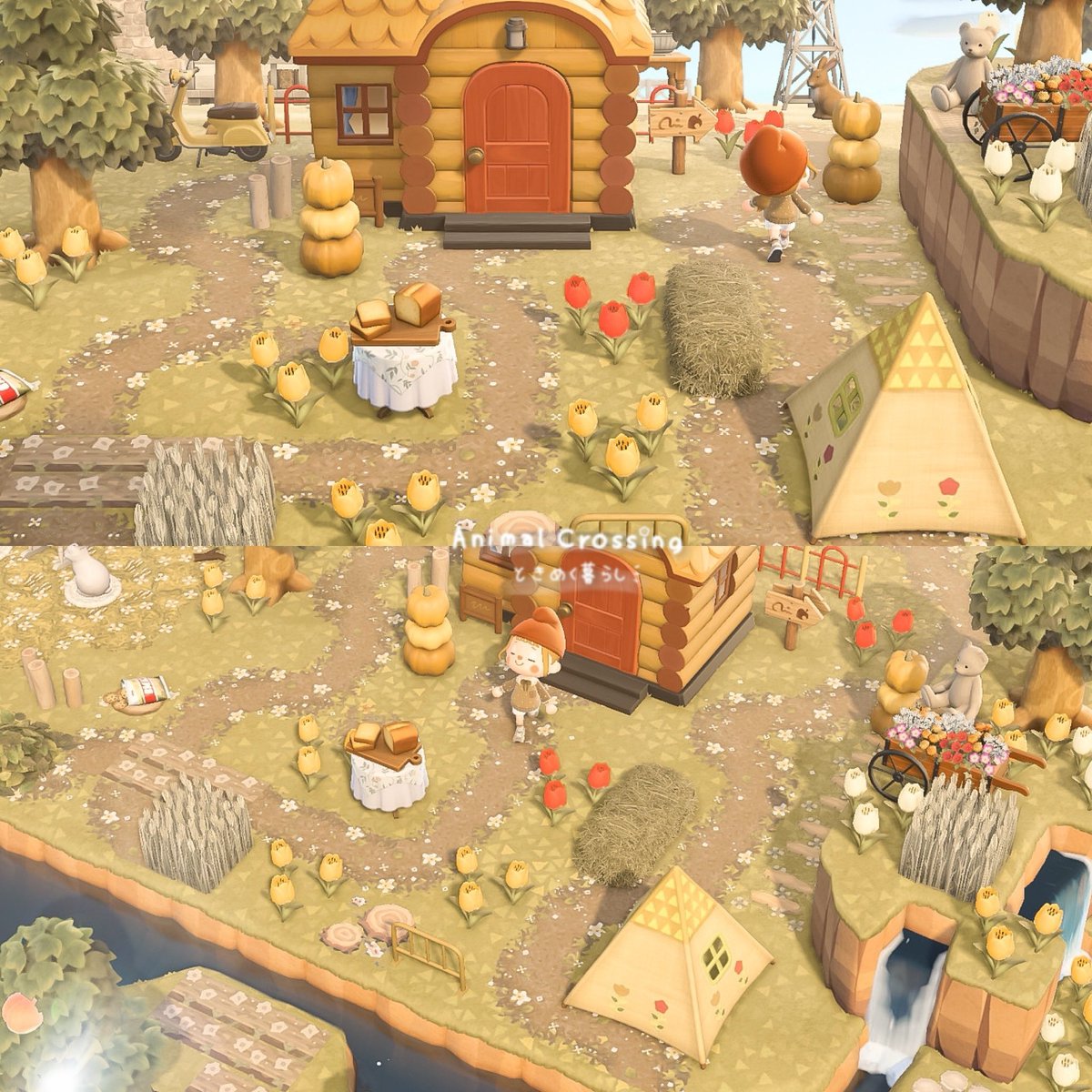 🎃🌷💛❤️🧏‍♀️

写真に全然関係ないけど
インスタもXもあと数人でフォロワーさんが1000人になる♩どちらが先にいくのか毎日ドキドキしてる(◜ ͜◝ )笑
 #ACNH #AnimalCrossing  #あつまれどうぶつの森 #あつ森写真部 #ときめく暮らし