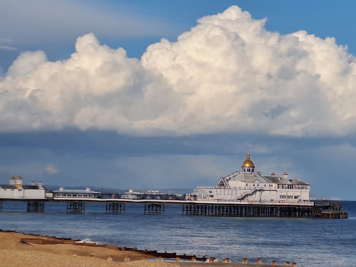 Eastbourne Walking Festival tweet media
