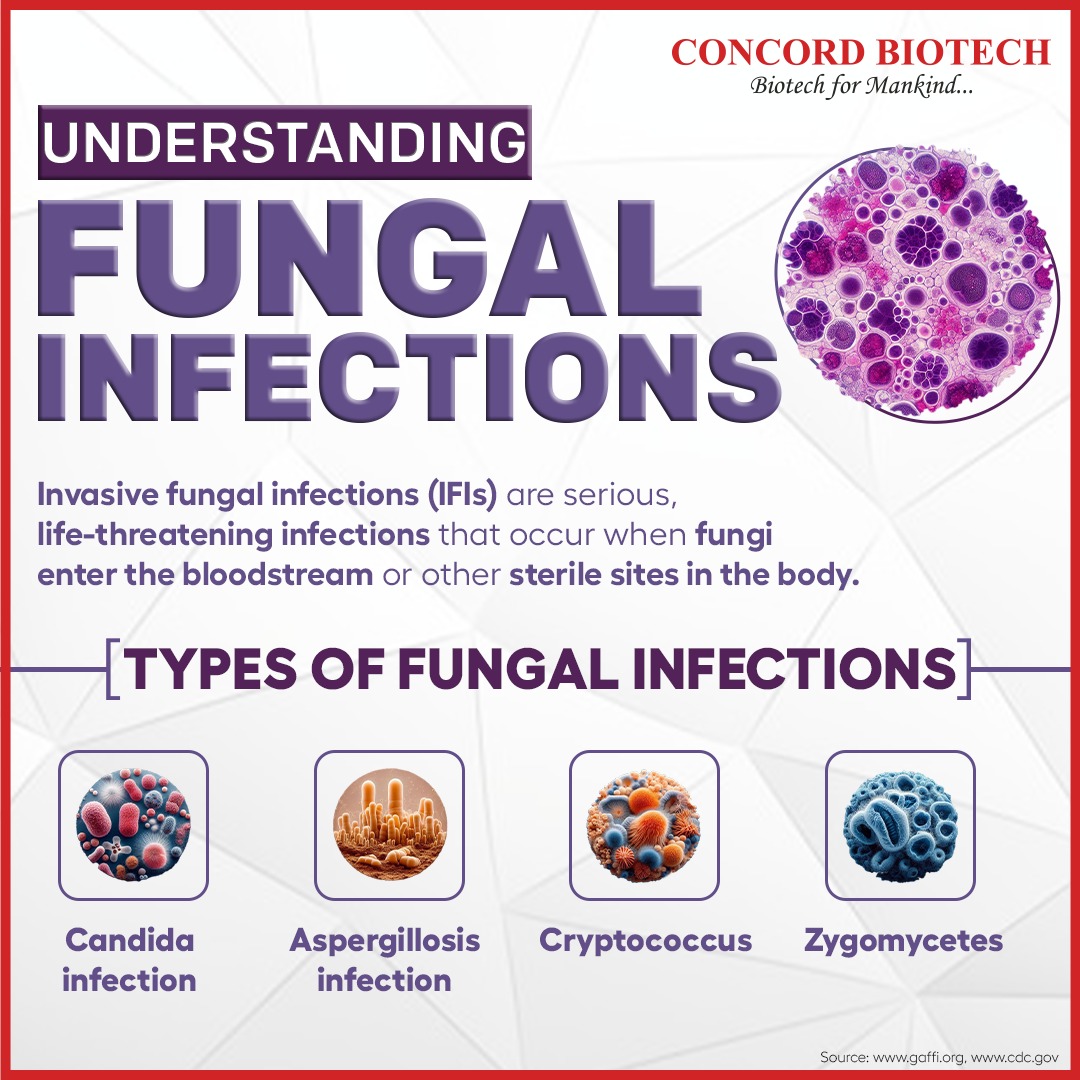 ConcordBiotech's tweet photo. As part of our #FungalDiseaseAwarenessWeek, #ConcordBiotech is raising awareness about Invasive #FungalInfections (#IFI).
#fungaldiseaseawareness #invasivefungalinfections #keyfacts #IFI #Candidiasis #aspergillosis #mucormycosis #intensivecare #criticalcare #concordbiotech https://t.co/eSiDi2Fo6B