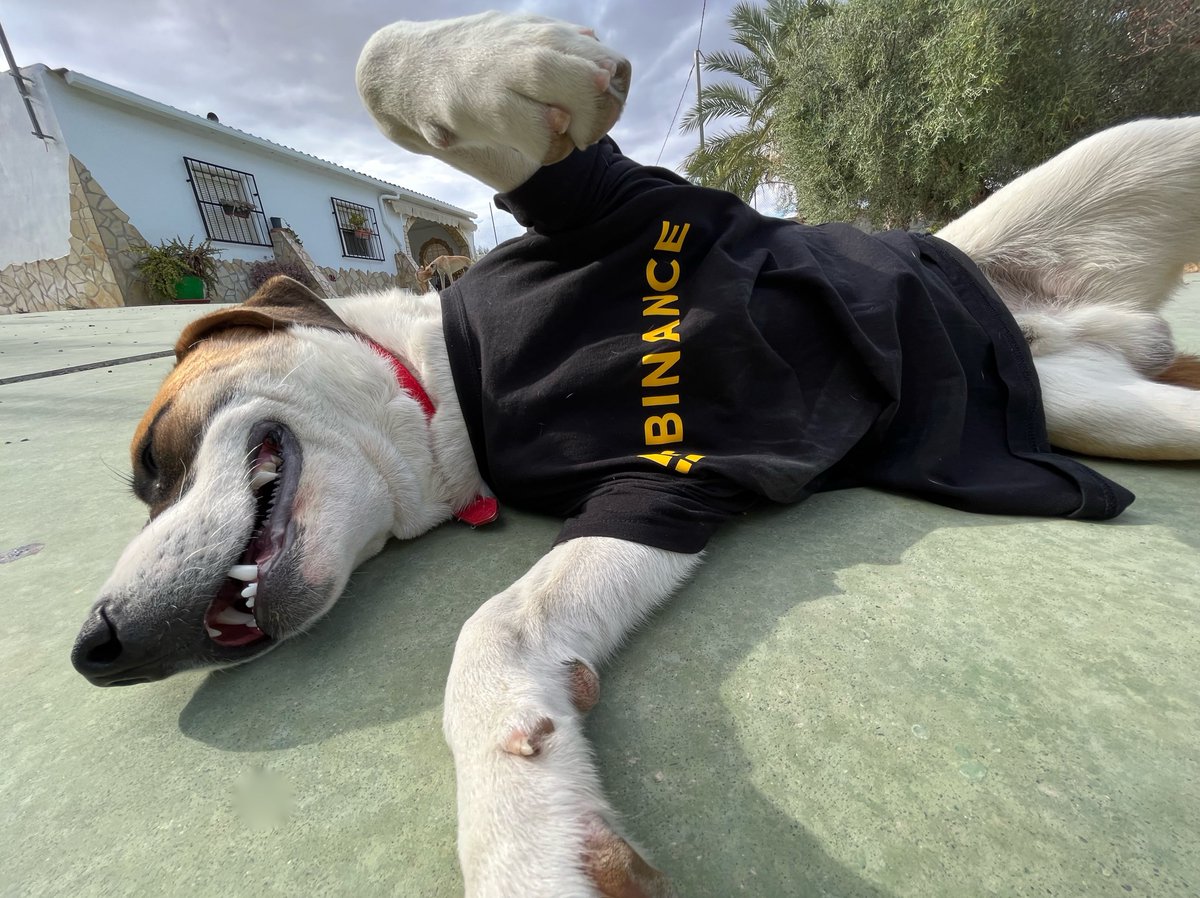 Binance Africa tweet media