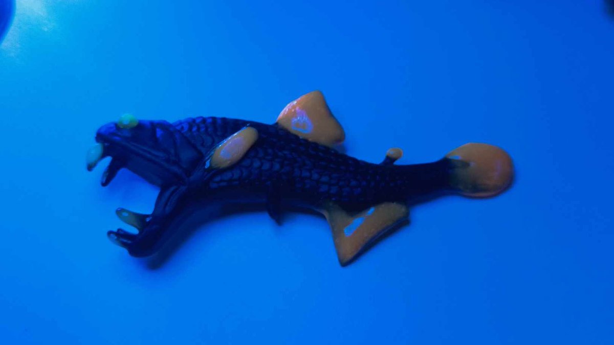 Aquatic Ecology and Evolution - CIIMAR tweet media