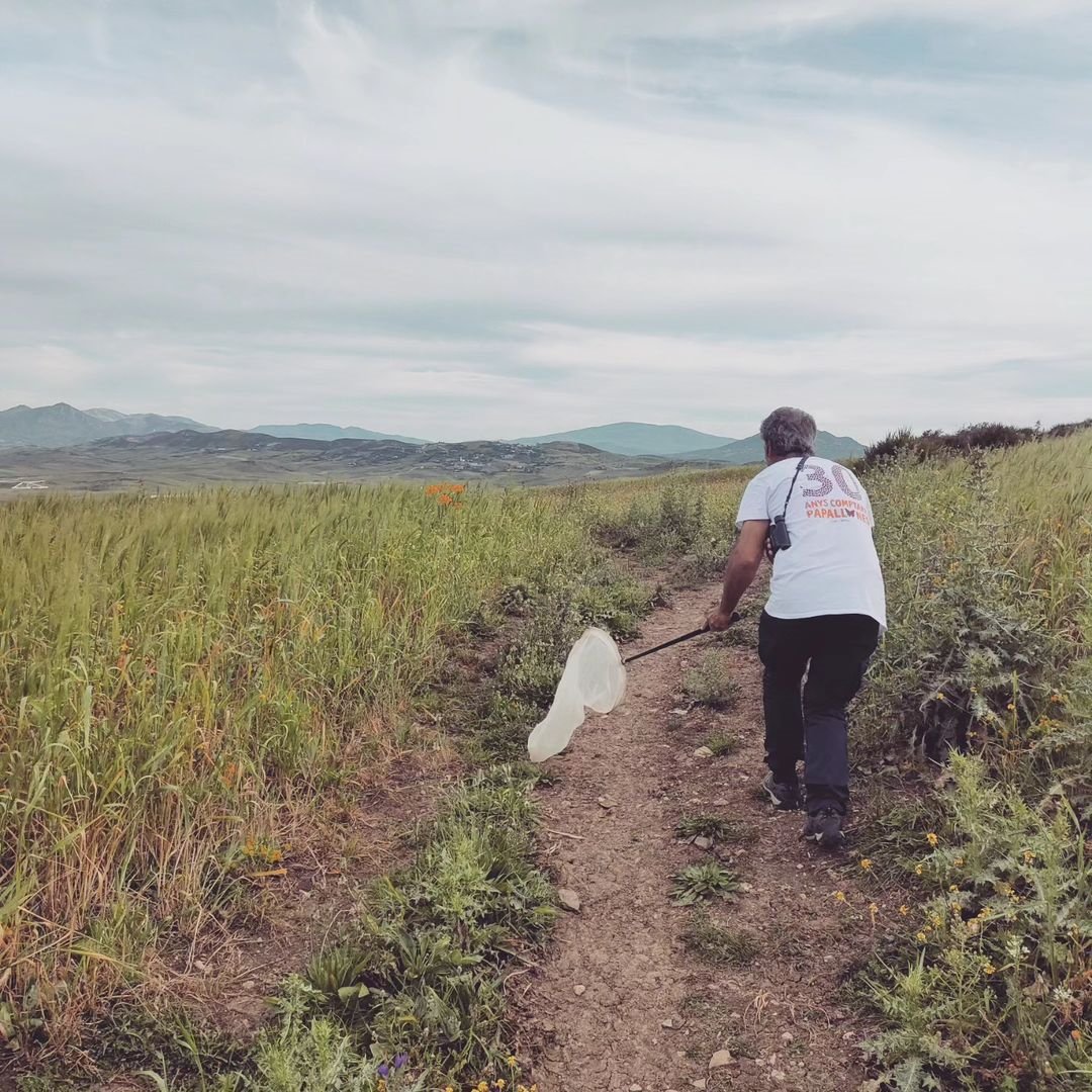 Pau Colom tweet media