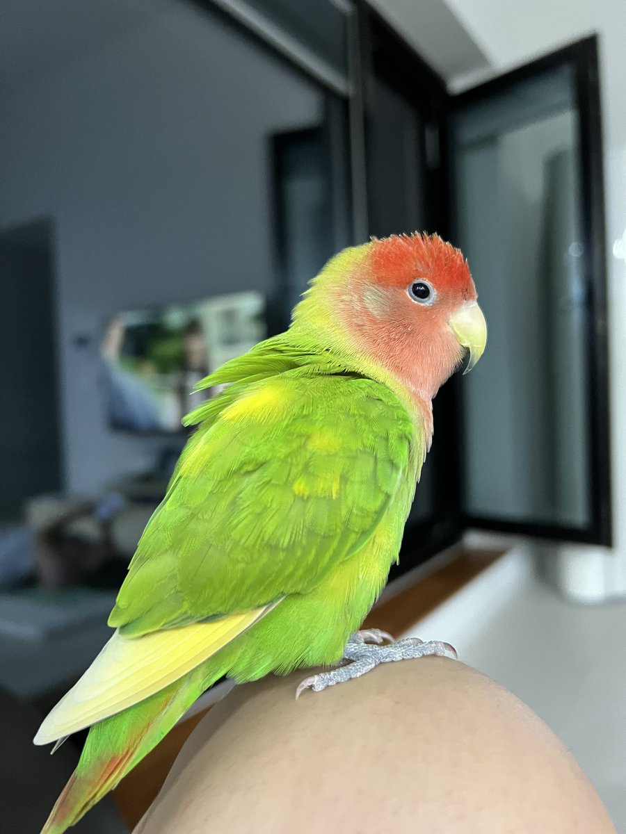 과정                                                       결과