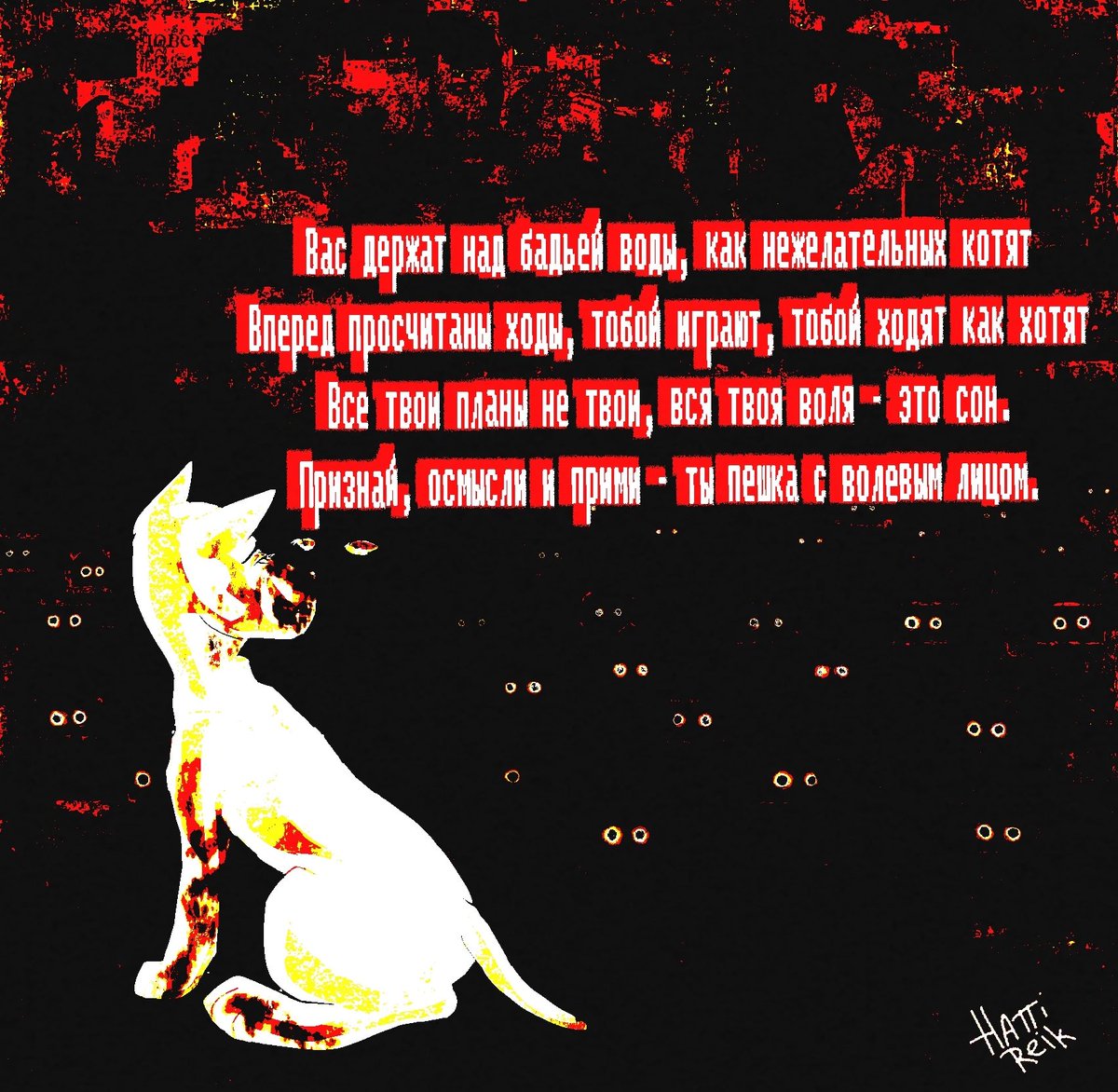 HATTI REIK tweet media