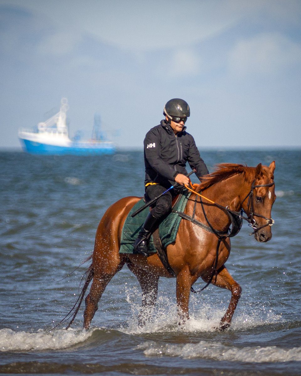 Making waves <a href="/Laytown_Races/">Laytown Races 2025</a> 🌊🇮🇪 

📸 <a href="/patrickmccannrp/">Patrick McCann</a>