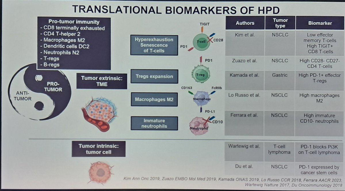 Giovanni Pastorino (@gio_pasto_real) on Twitter photo #ESMO24 HL: inspiring talk by <a href="/RobertoFerrara_/">Roberto Ferrara</a> upon pattern of progression to immunotherapy. HPD is rare but letal, and lacks of biomarkers. Mechanism is unknown. A myeloid-mediated effect is a fascinating, yet reasonable hypotesis. Neu and MDSCs characterization may be the key #ESMO24 HL: inspiring talk by <a href="/RobertoFerrara_/">Roberto Ferrara</a> upon pattern of progression to immunotherapy. HPD is rare but letal, and lacks of biomarkers. Mechanism is unknown. A myeloid-mediated effect is a fascinating, yet reasonable hypotesis. Neu and MDSCs characterization may be the key