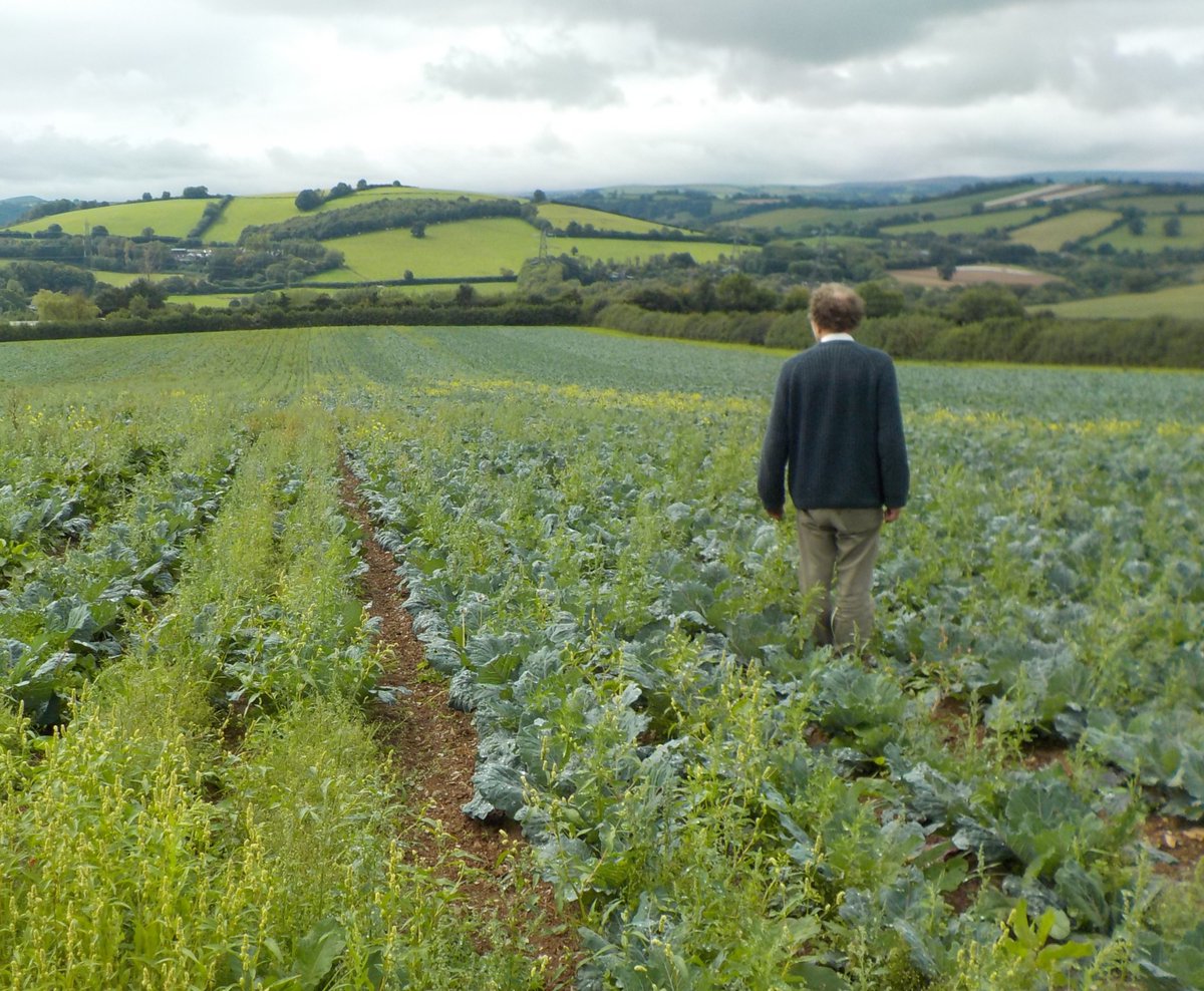 IFarmers's tweet photo. If you’re interested in the use of #striptillage in low-input horticulture, join us on Fri 11 October at Abbey Home Farm, Cirencester🥬
Head grower Andy Dibben will share insights from his #fieldlab using strip tillage with a #livingmulch. Book here: https://t.co/omqdMLuK71 https://t.co/3l1FWajNfD